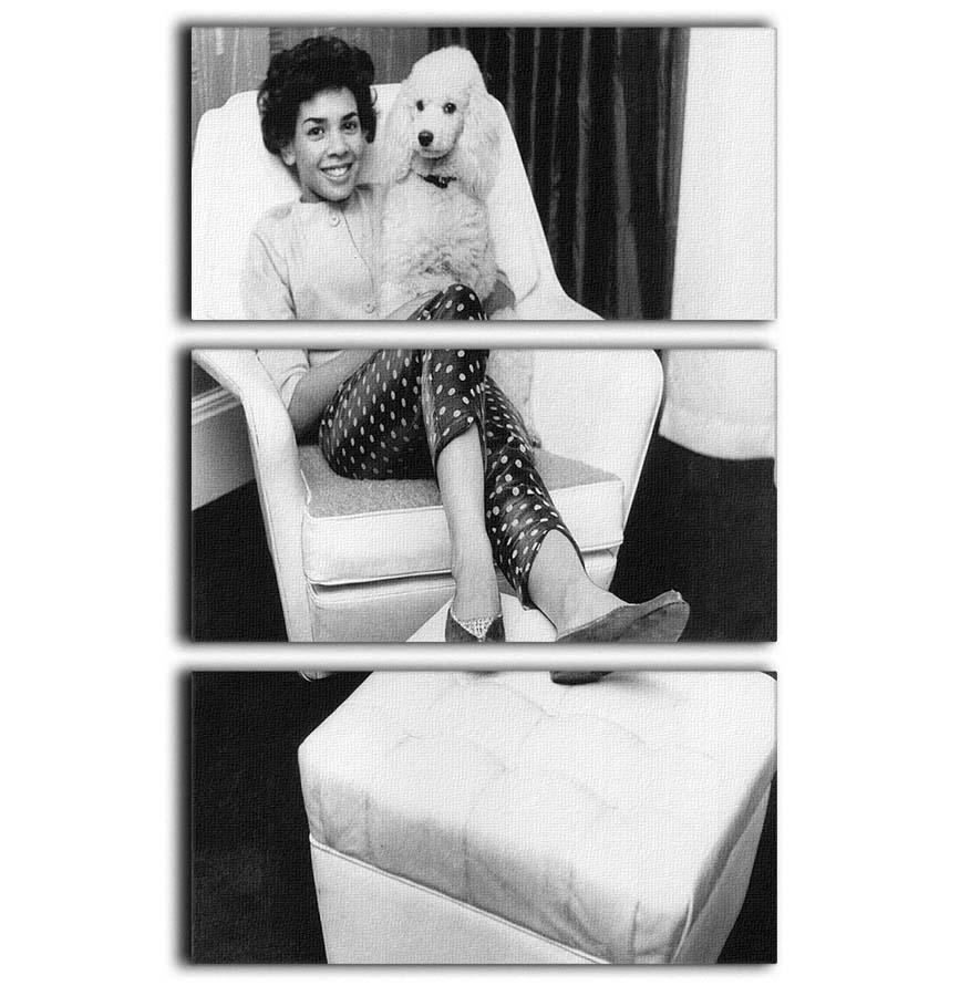 Shirley Bassey with her poodle 3 Split Panel Canvas Print - Canvas Art Rocks - 1