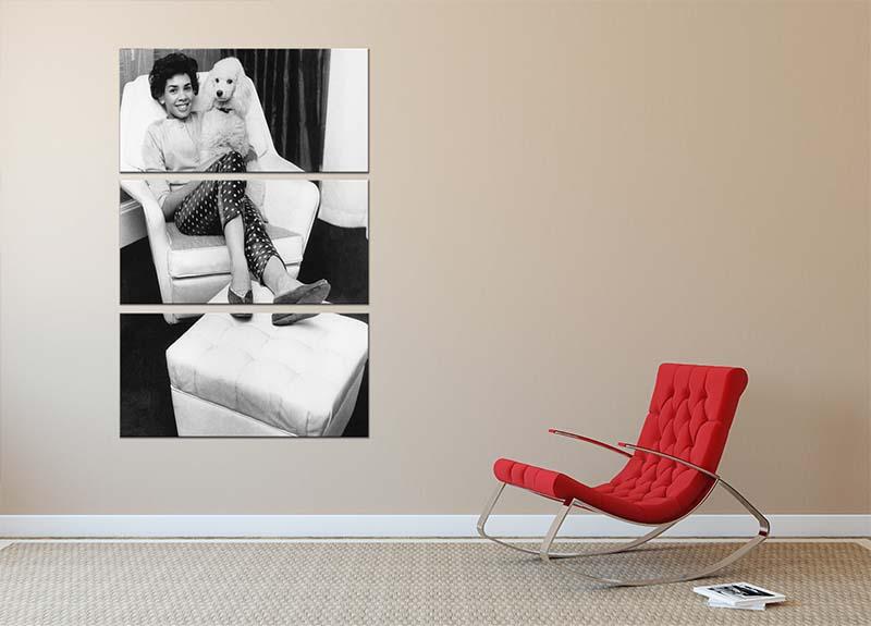 Shirley Bassey with her poodle 3 Split Panel Canvas Print - Canvas Art Rocks - 2