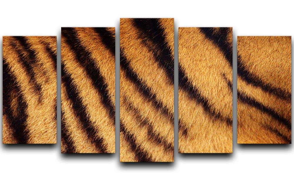 Siberian or Amur tiger stripped fur 5 Split Panel Canvas  - Canvas Art Rocks - 1