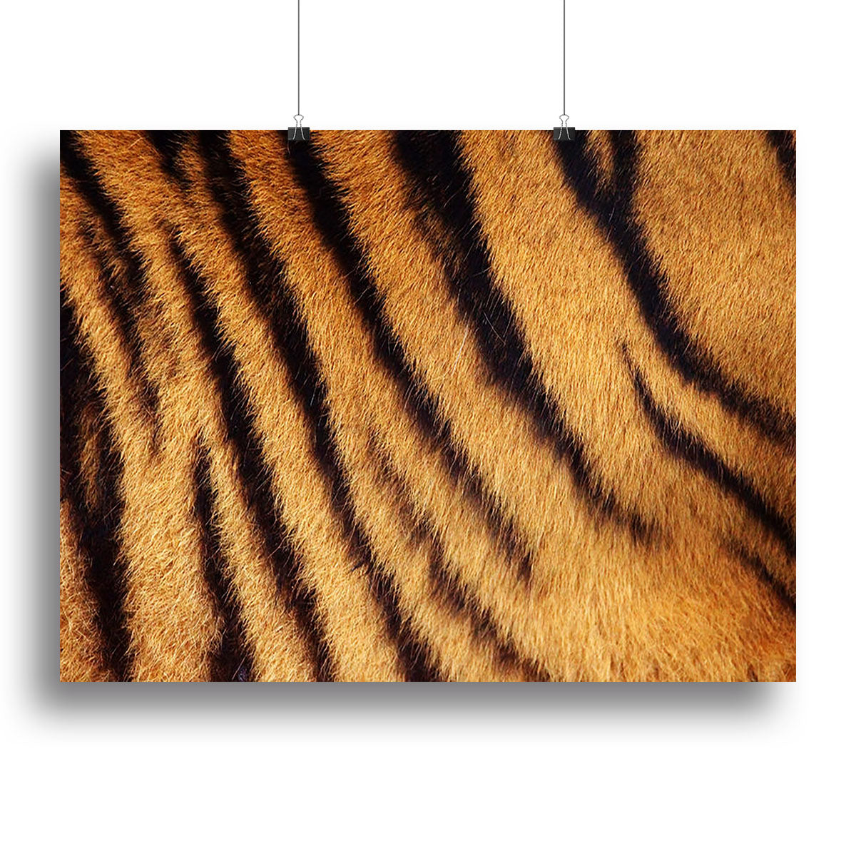 Siberian or Amur tiger stripped fur Canvas Print or Poster - Canvas Art Rocks - 2