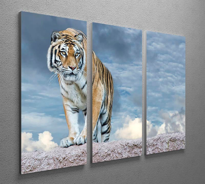 Siberian tiger ready to attack 3 Split Panel Canvas Print - Canvas Art Rocks - 2