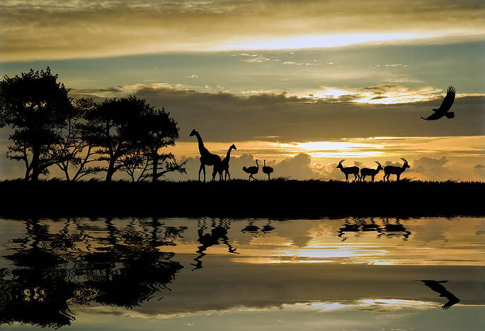 Silhouette of animals in Africa Wall Mural Wallpaper