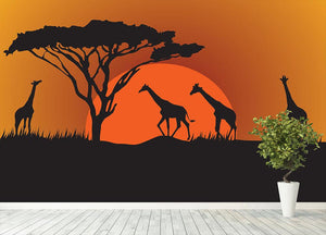 Silhouettes of giraffes in safari sunset Wall Mural Wallpaper - Canvas Art Rocks - 4