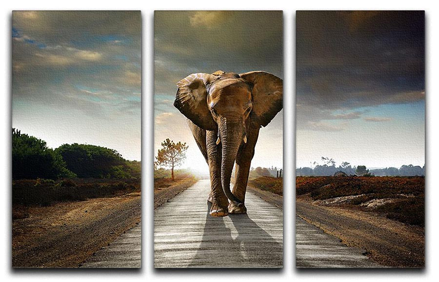 Single elephant walking in a road 3 Split Panel Canvas Print - Canvas Art Rocks - 1