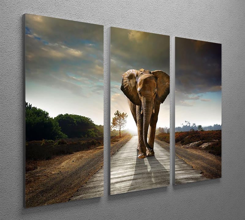 Single elephant walking in a road 3 Split Panel Canvas Print - Canvas Art Rocks - 2