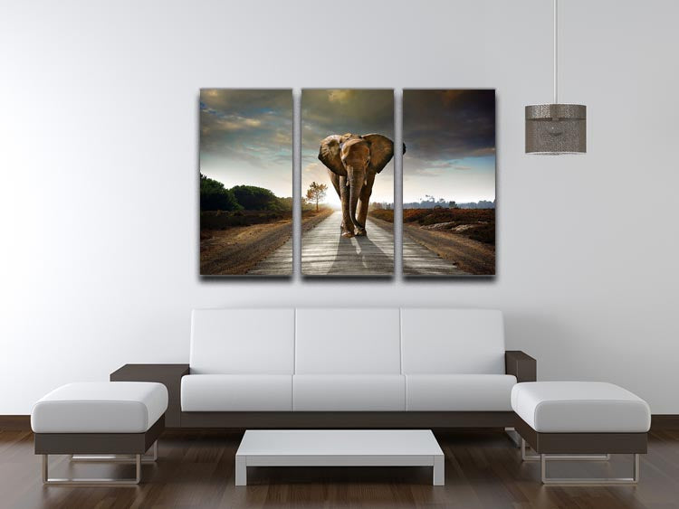 Single elephant walking in a road 3 Split Panel Canvas Print - Canvas Art Rocks - 3