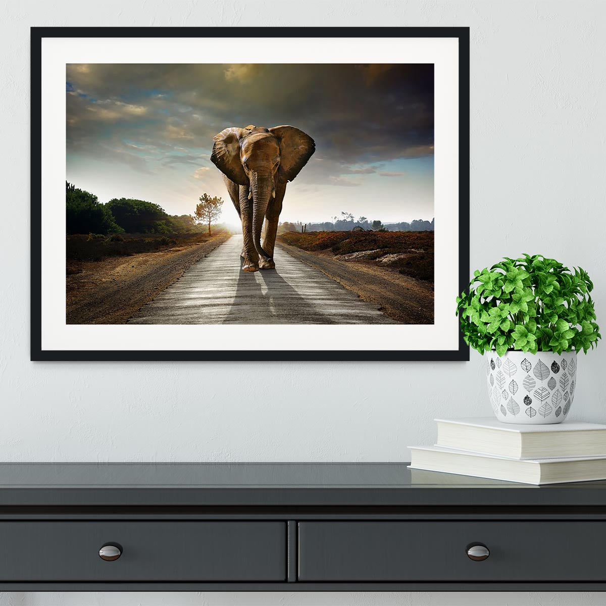 Single elephant walking in a road Framed Print - Canvas Art Rocks - 1
