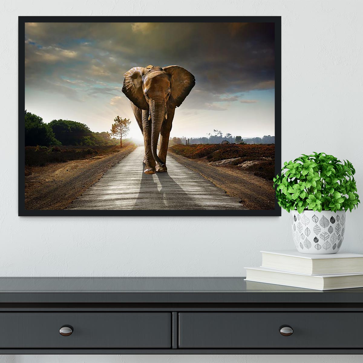 Single elephant walking in a road Framed Print - Canvas Art Rocks - 2