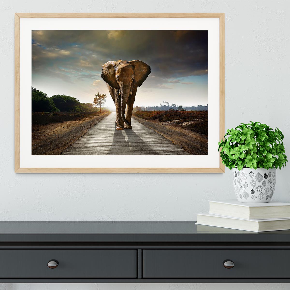 Single elephant walking in a road Framed Print - Canvas Art Rocks - 3