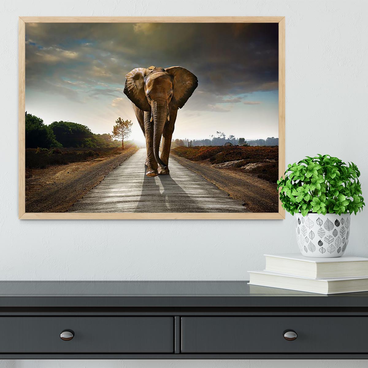 Single elephant walking in a road Framed Print - Canvas Art Rocks - 4