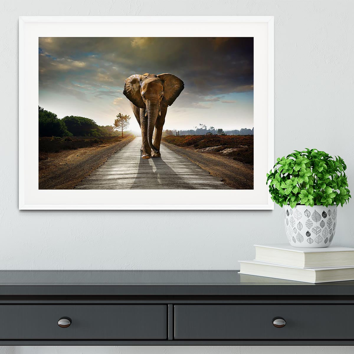 Single elephant walking in a road Framed Print - Canvas Art Rocks - 5