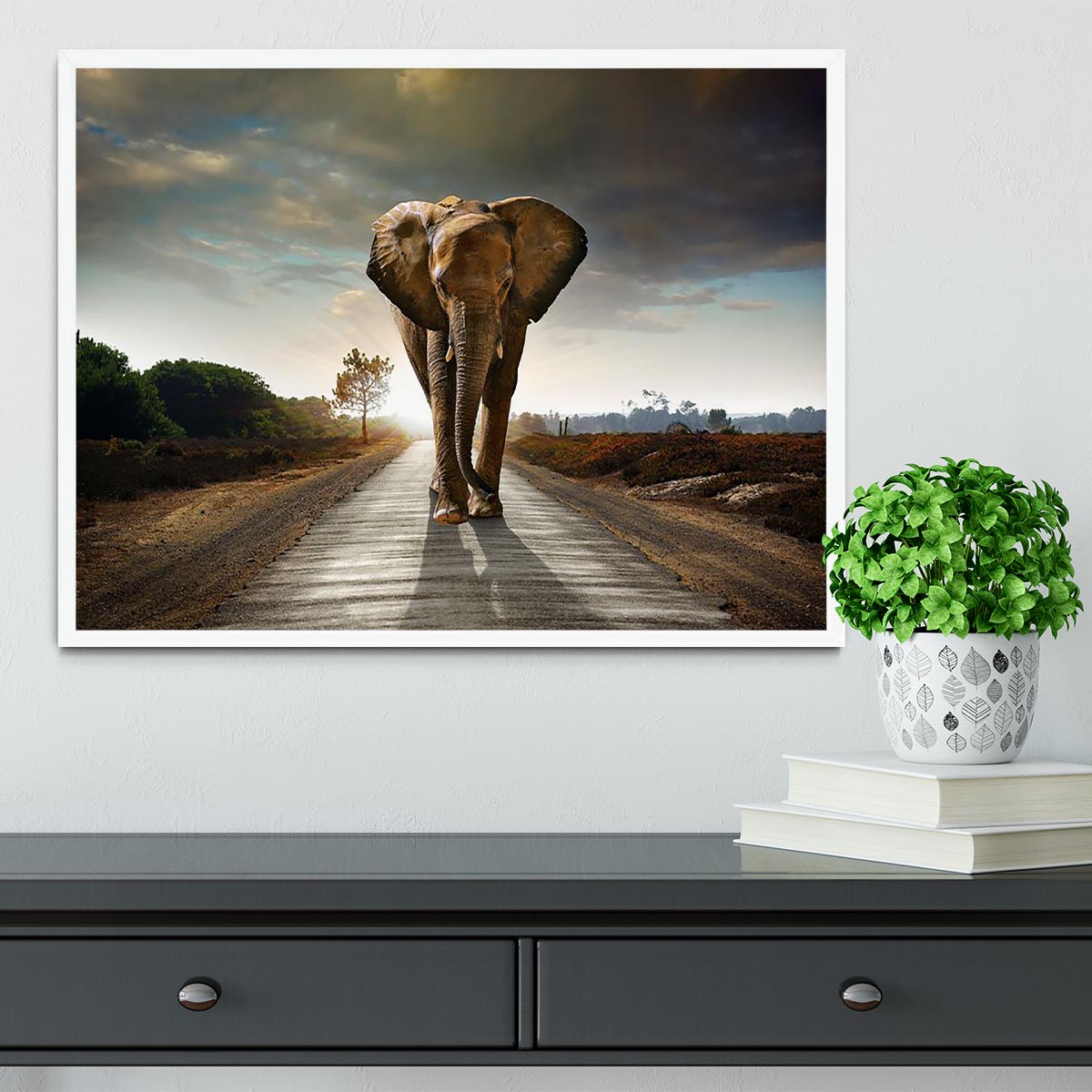 Single elephant walking in a road Framed Print - Canvas Art Rocks -6