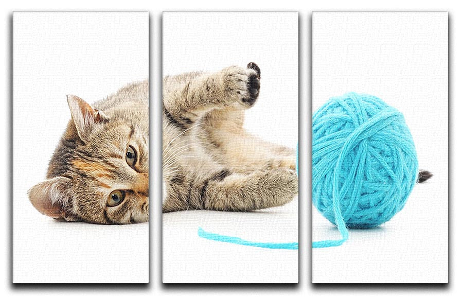 Small funny kitten and clew of thread 3 Split Panel Canvas Print - Canvas Art Rocks - 1