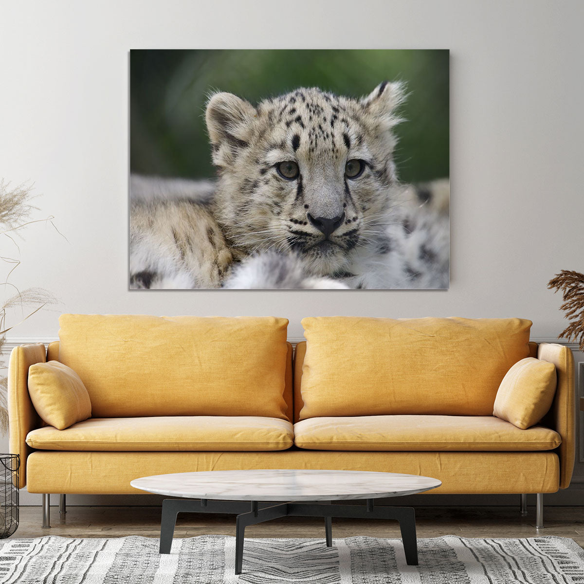 Snow Leopard cubs in the wild Canvas Print or Poster - Canvas Art Rocks - 4