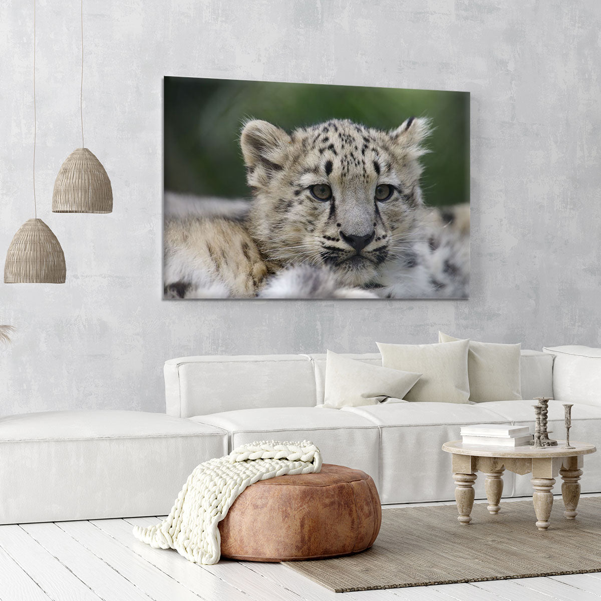 Snow Leopard cubs in the wild Canvas Print or Poster - Canvas Art Rocks - 6
