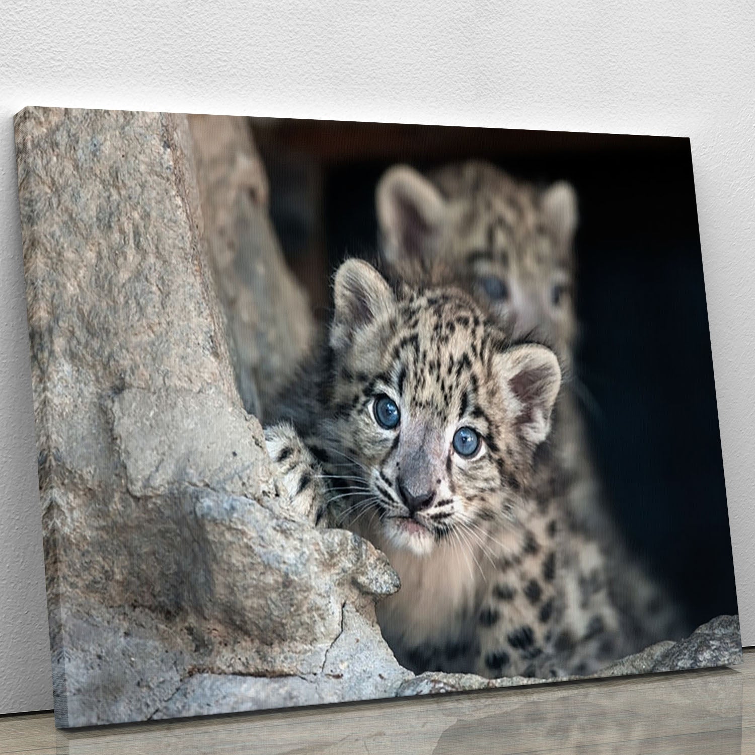 Snow leopard baby portrait Canvas Print or Poster - Canvas Art Rocks - 1