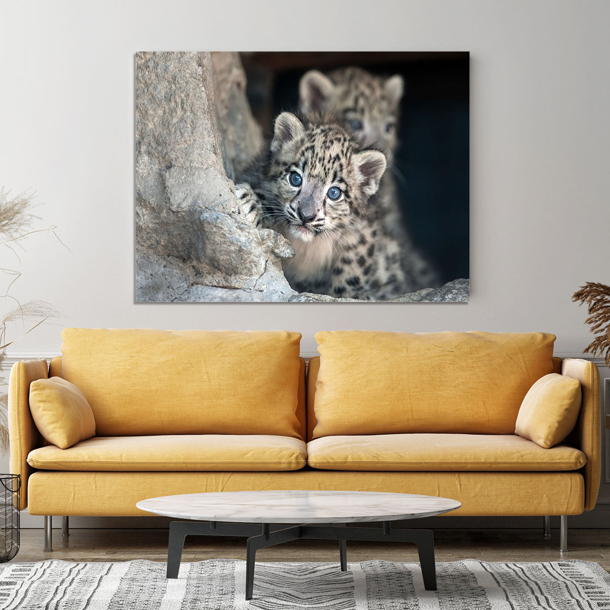 Snow leopard baby portrait Canvas Print or Poster - Canvas Art Rocks - 4