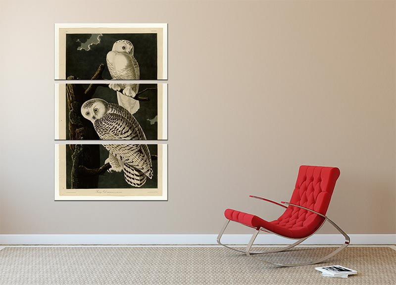 Snowy Owl by Audubon 3 Split Panel Canvas Print - Canvas Art Rocks - 2