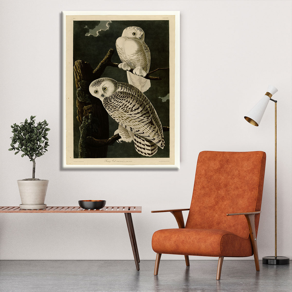 Snowy Owl by Audubon Canvas Print or Poster - Canvas Art Rocks - 6