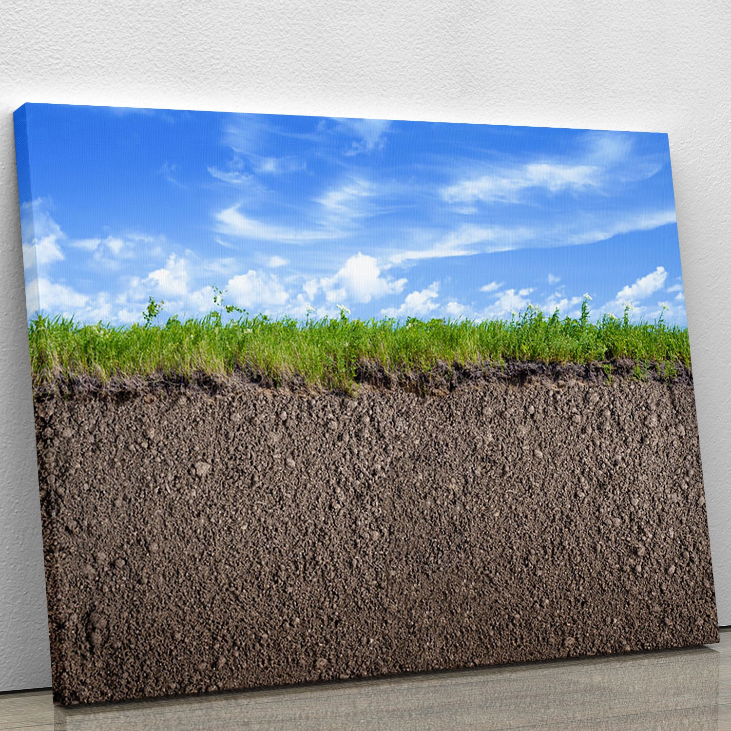 Soil ground Canvas Print or Poster - Canvas Art Rocks - 1