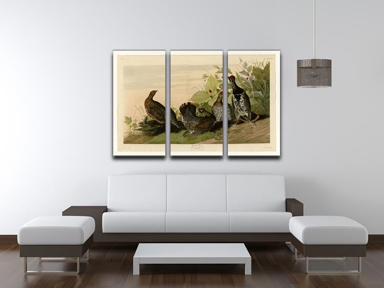 Spotted Grouse by Audubon 3 Split Panel Canvas Print - Canvas Art Rocks - 3