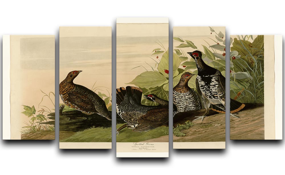 Spotted Grouse by Audubon 5 Split Panel Canvas - Canvas Art Rocks - 1