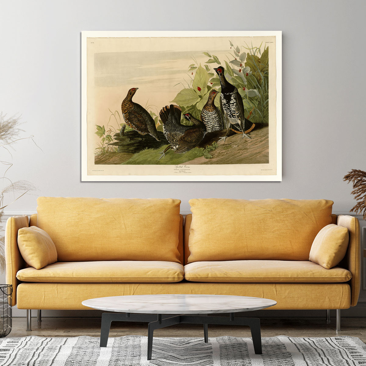 Spotted Grouse by Audubon Canvas Print or Poster - Canvas Art Rocks - 4