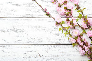 Spring flowering branch on white wooden Wall Mural Wallpaper - Canvas Art Rocks - 1