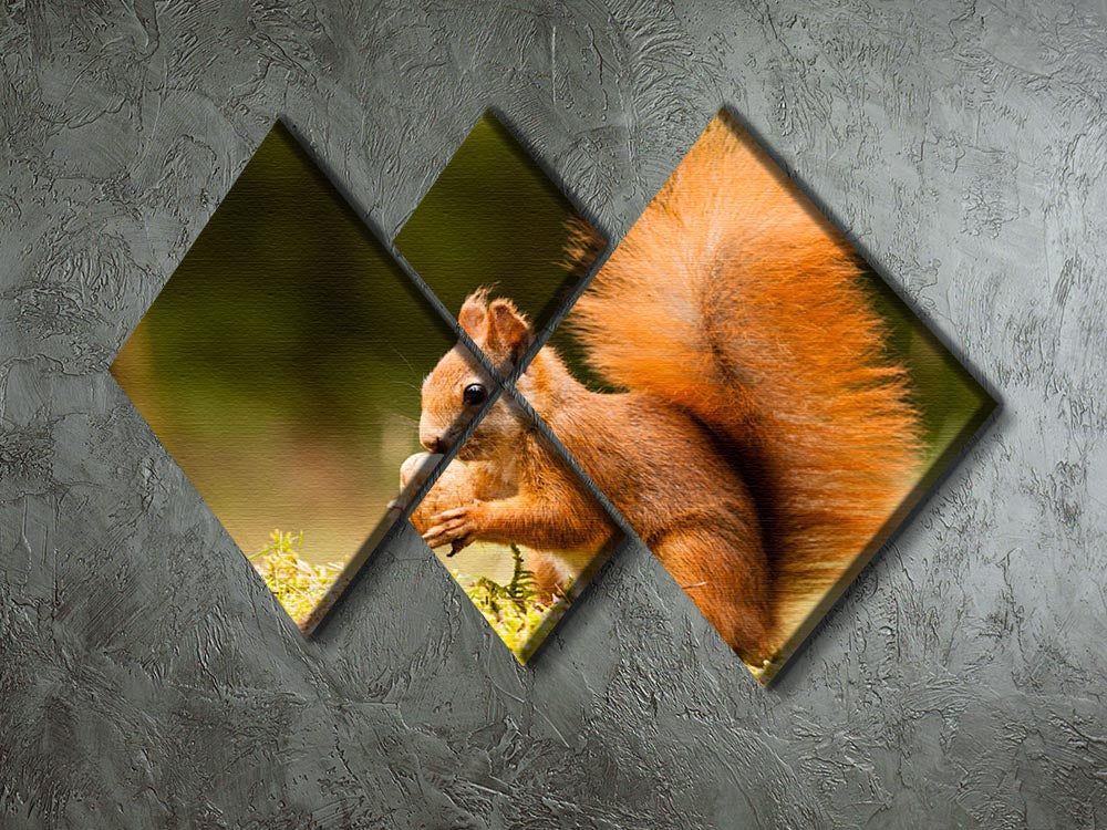 Squirrel with nut 4 Square Multi Panel Canvas - Canvas Art Rocks - 2