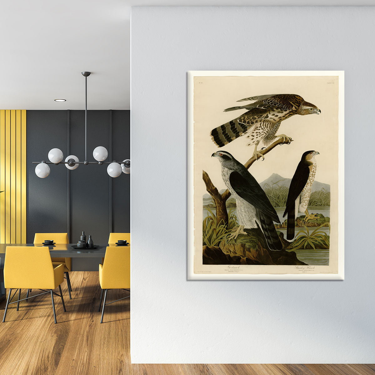 Stanley Hawk by Audubon Canvas Print or Poster - Canvas Art Rocks - 4