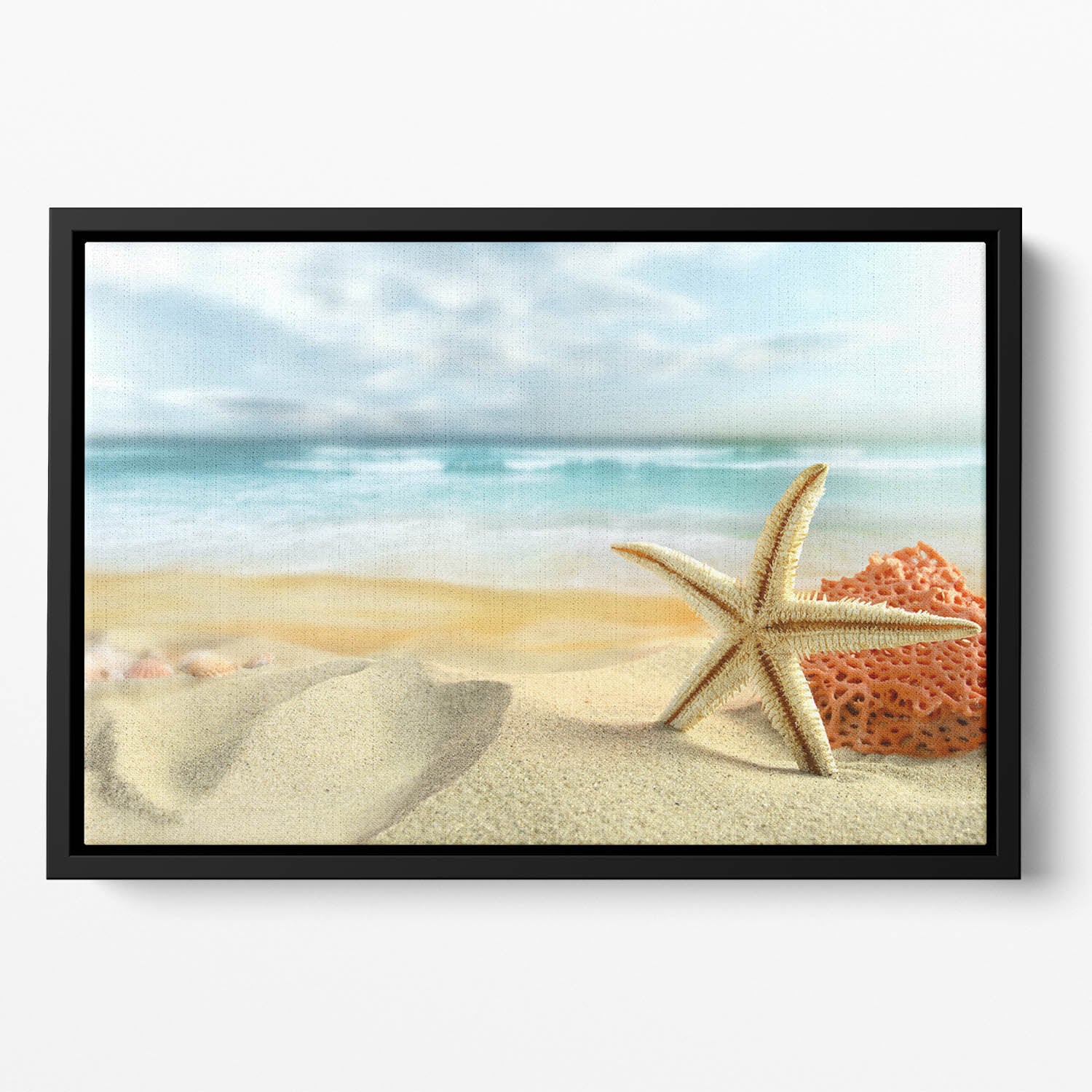 Starfish Floating Framed Canvas