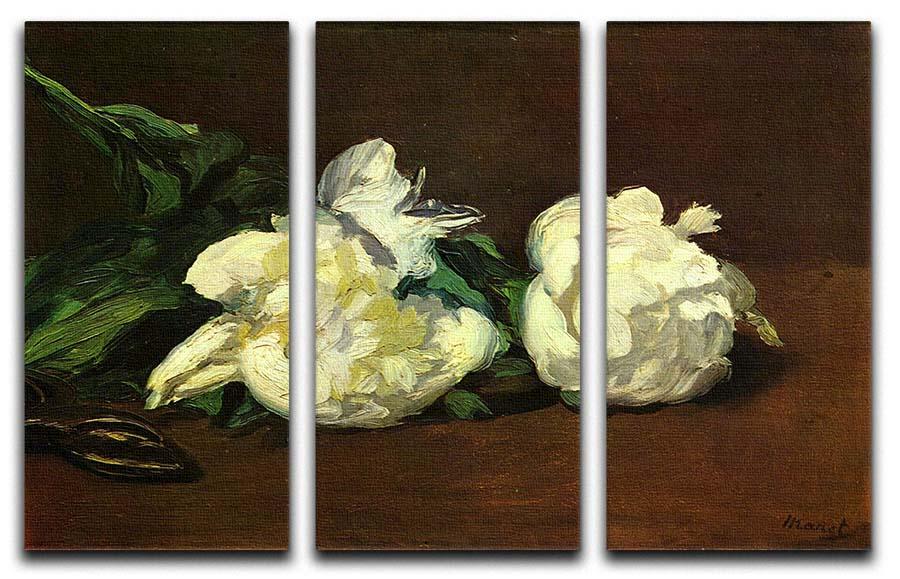 Still life White Peony by Manet 3 Split Panel Canvas Print - Canvas Art Rocks - 1