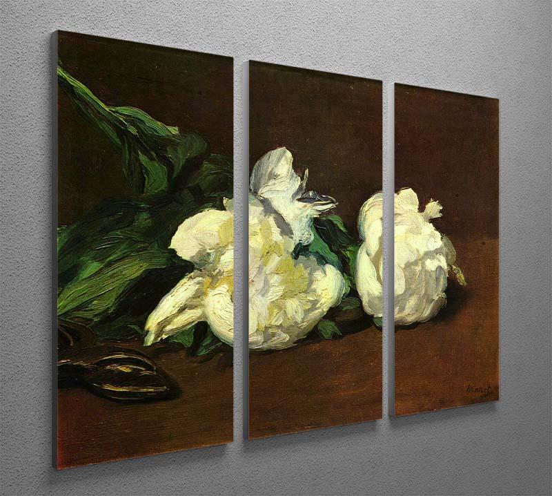 Still life White Peony by Manet 3 Split Panel Canvas Print - Canvas Art Rocks - 2