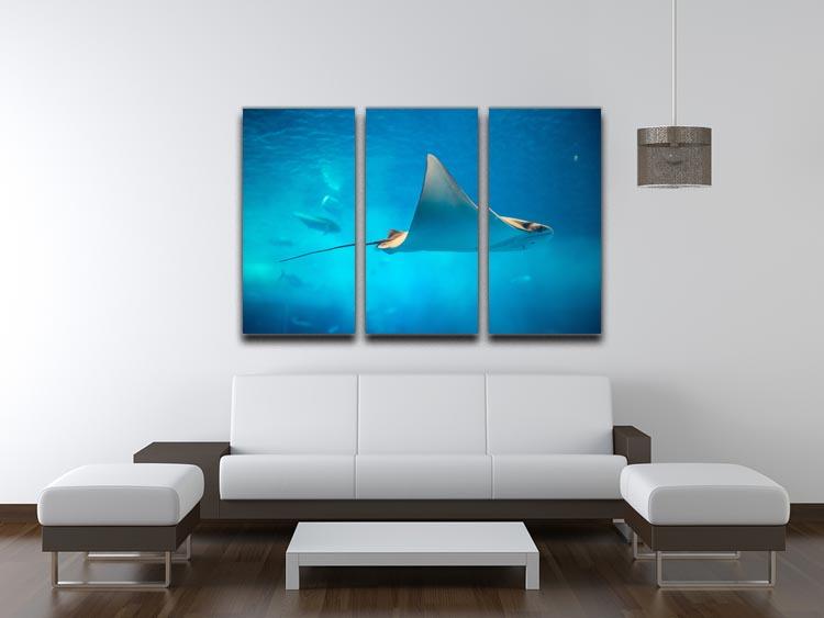 Stingray in the aquarium 3 Split Panel Canvas Print - Canvas Art Rocks - 3