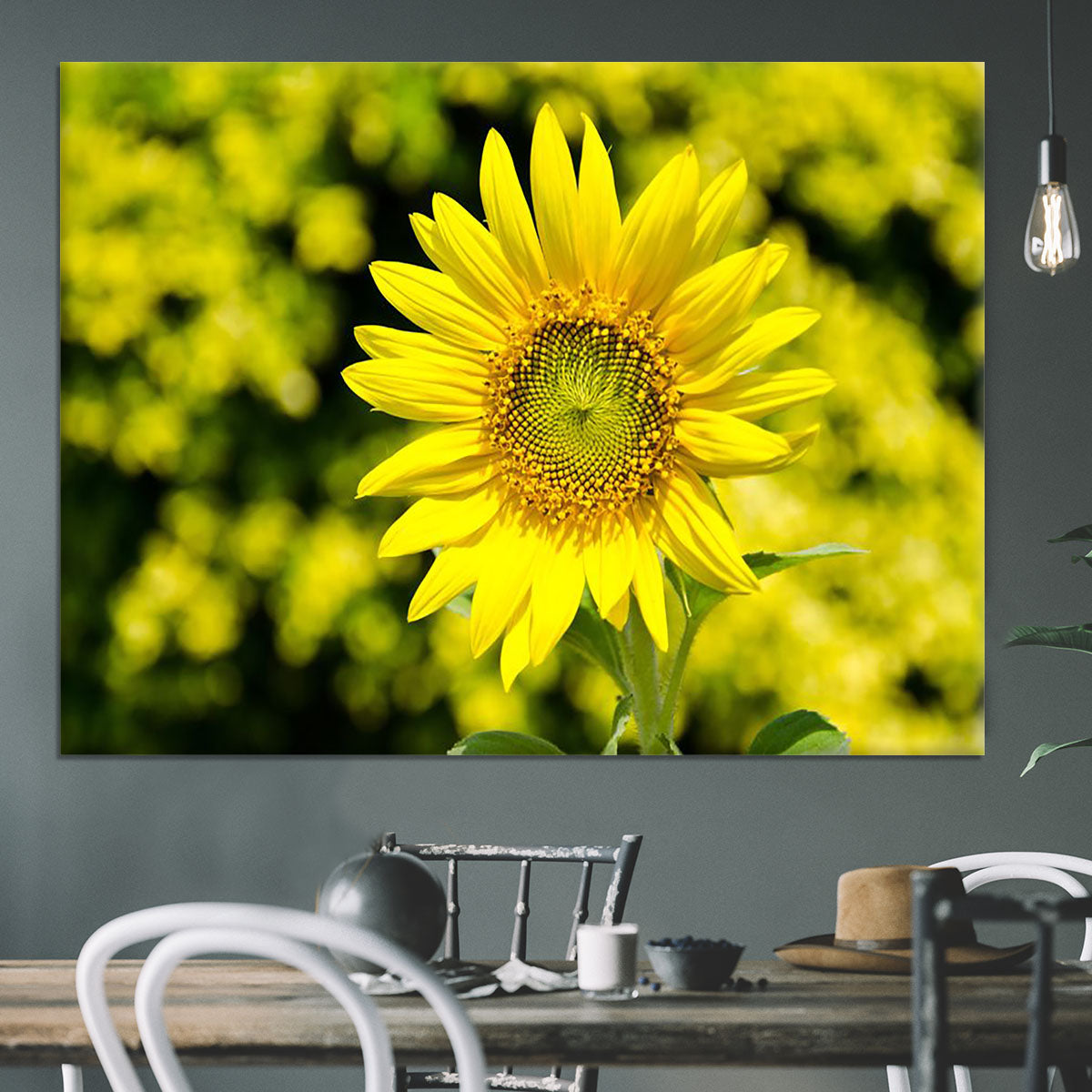 Sunflowers bloom in summer Canvas Print or Poster - Canvas Art Rocks - 3