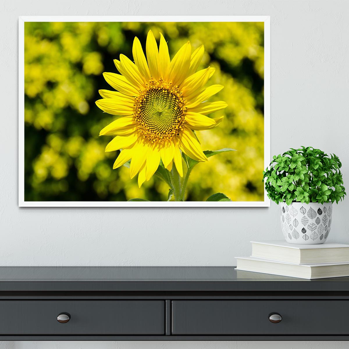 Sunflowers bloom in summer Framed Print - Canvas Art Rocks -6