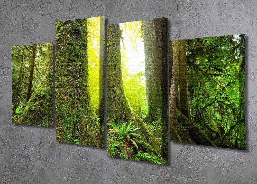 Sunny beams in forest 4 Split Panel Canvas  - Canvas Art Rocks - 2