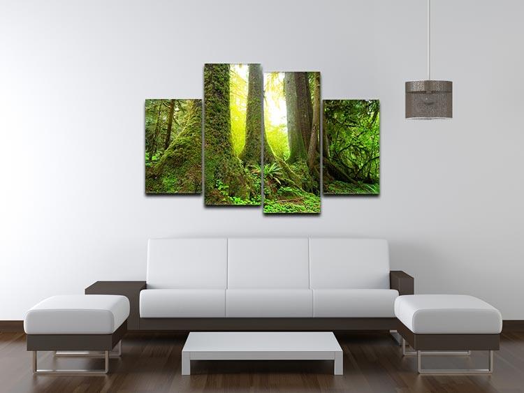 Sunny beams in forest 4 Split Panel Canvas  - Canvas Art Rocks - 3