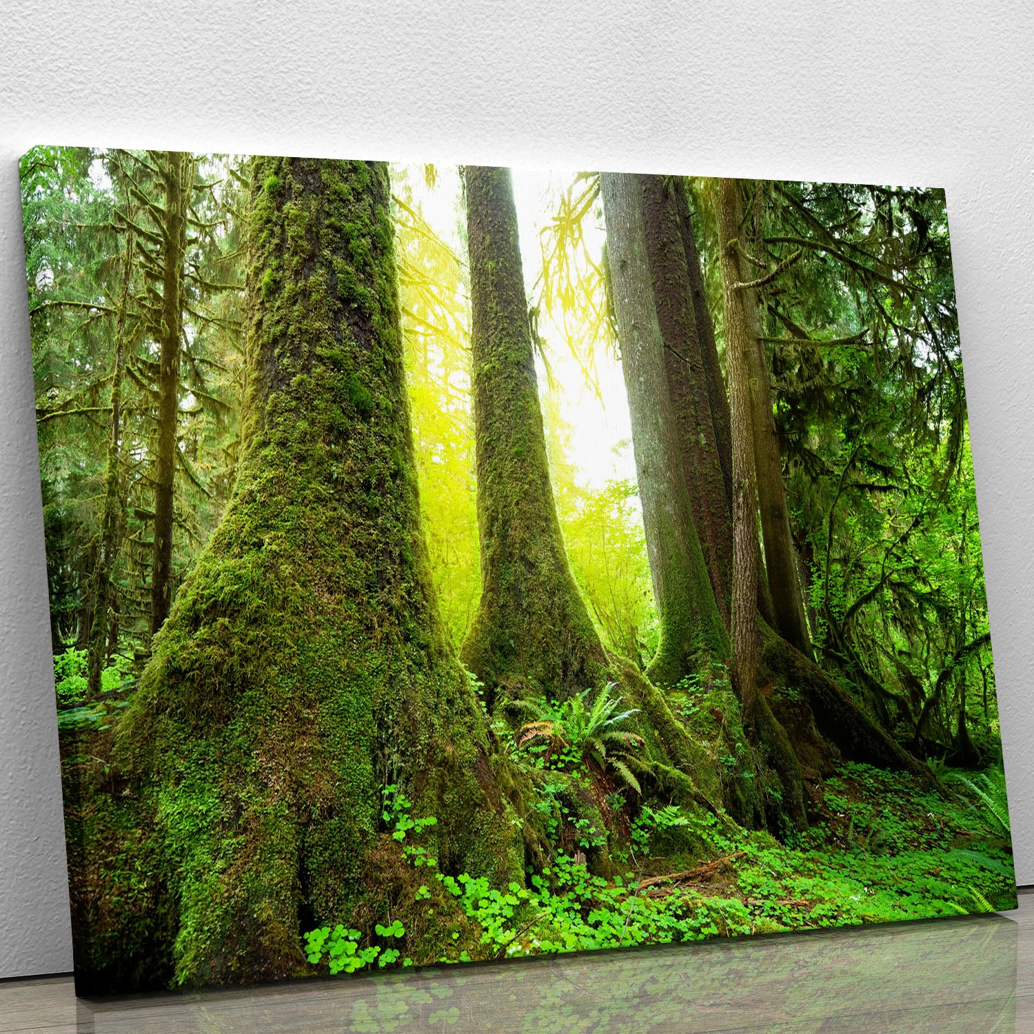 Sunny beams in forest Canvas Print or Poster - Canvas Art Rocks - 1
