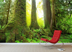 Sunny beams in forest Wall Mural Wallpaper - Canvas Art Rocks - 2