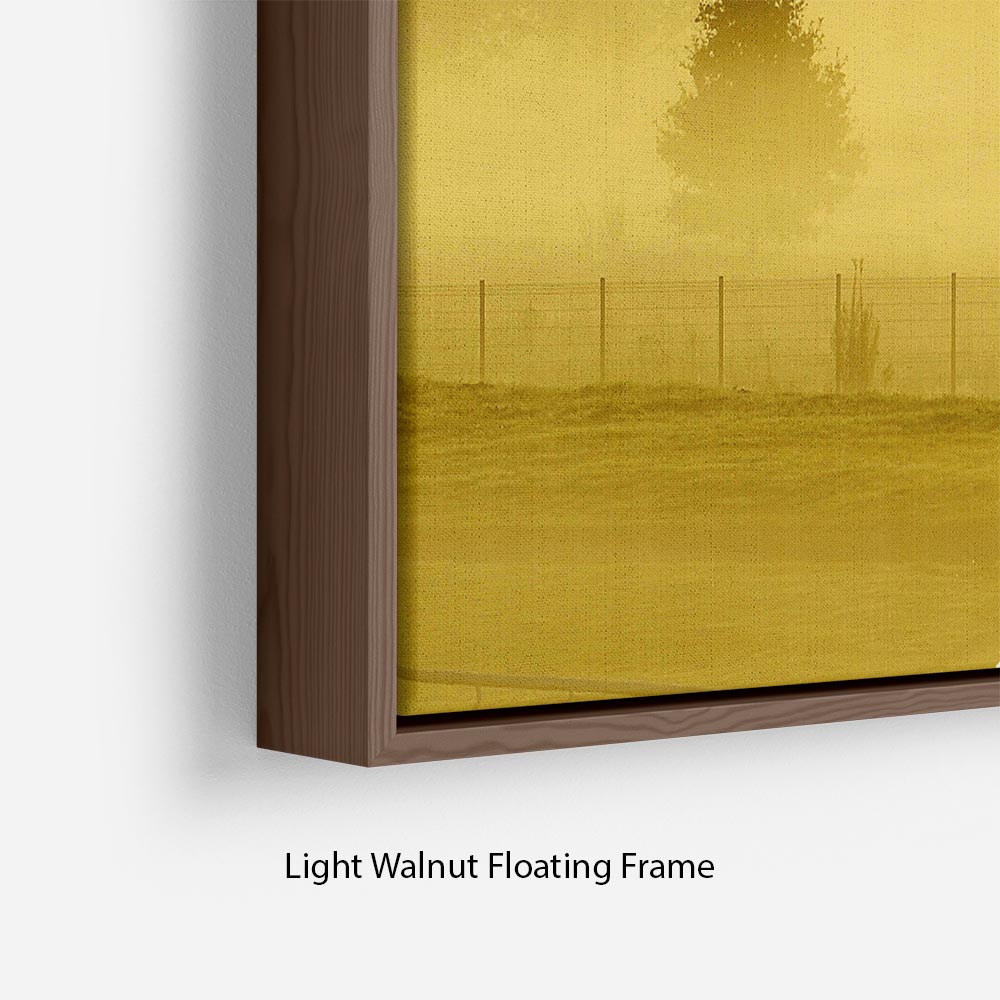 Sunrise and Mist Floating Frame Canvas - Canvas Art Rocks - 8