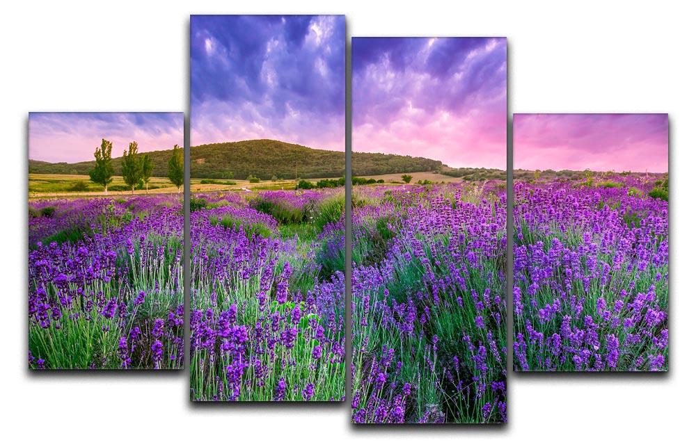 Sunset over a summer lavender field 4 Split Panel Canvas  - Canvas Art Rocks - 1