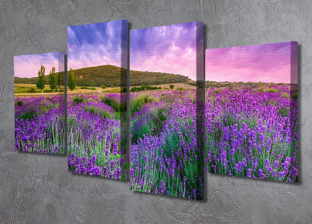 Sunset over a summer lavender field 4 Split Panel Canvas  - Canvas Art Rocks - 2