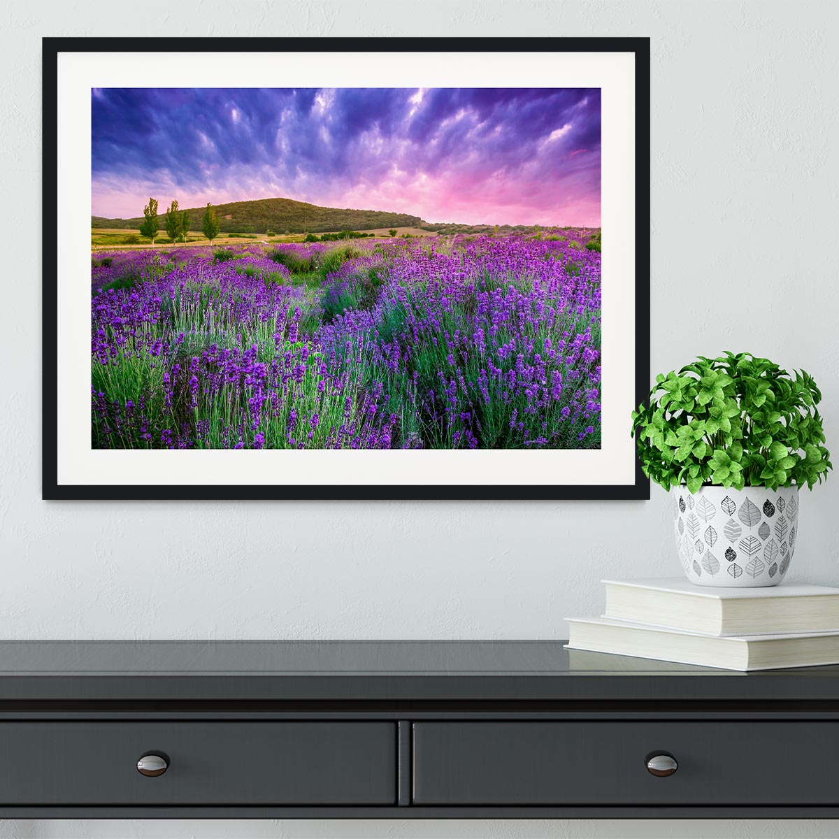 Sunset over a summer lavender field Framed Print - Canvas Art Rocks - 1