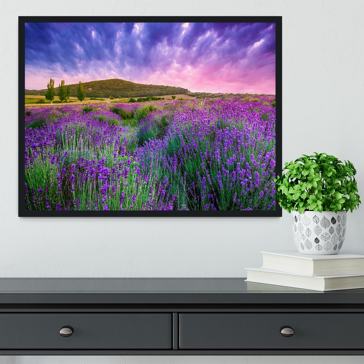 Sunset over a summer lavender field Framed Print - Canvas Art Rocks - 2