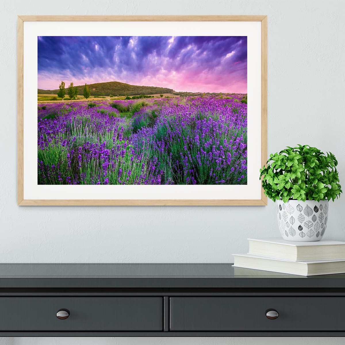 Sunset over a summer lavender field Framed Print - Canvas Art Rocks - 3