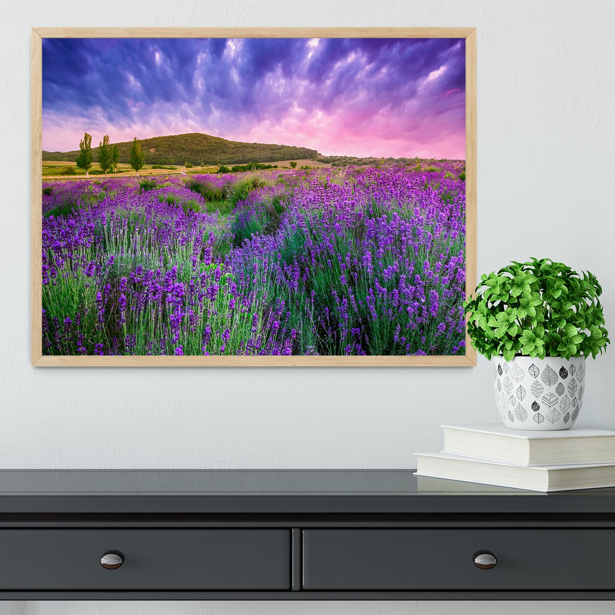 Sunset over a summer lavender field Framed Print - Canvas Art Rocks - 4