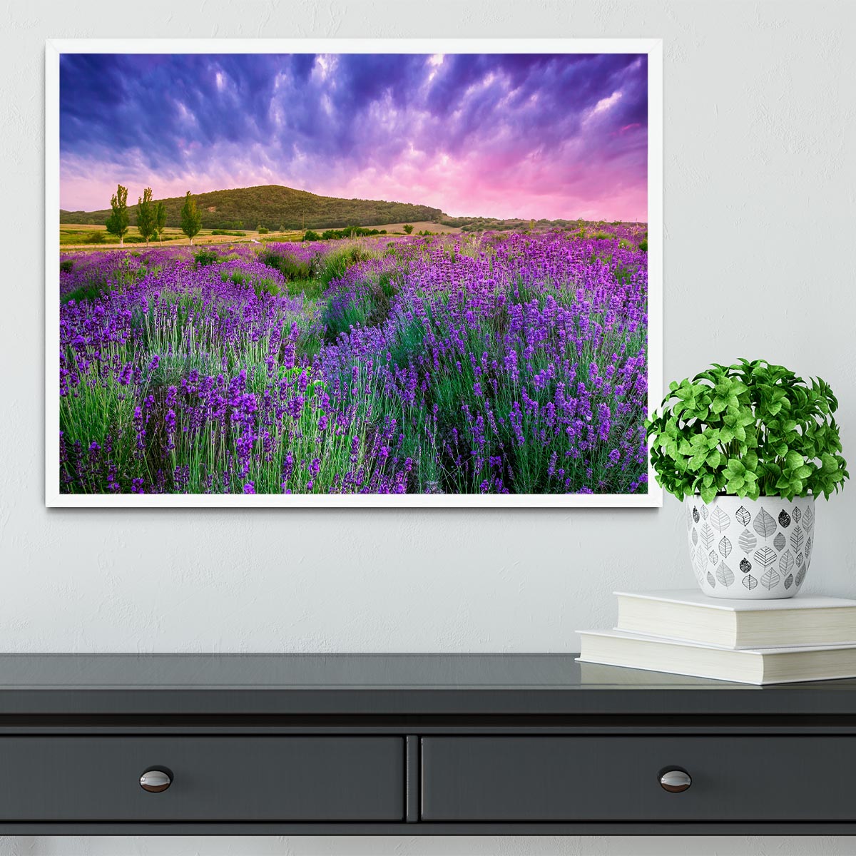Sunset over a summer lavender field Framed Print - Canvas Art Rocks -6