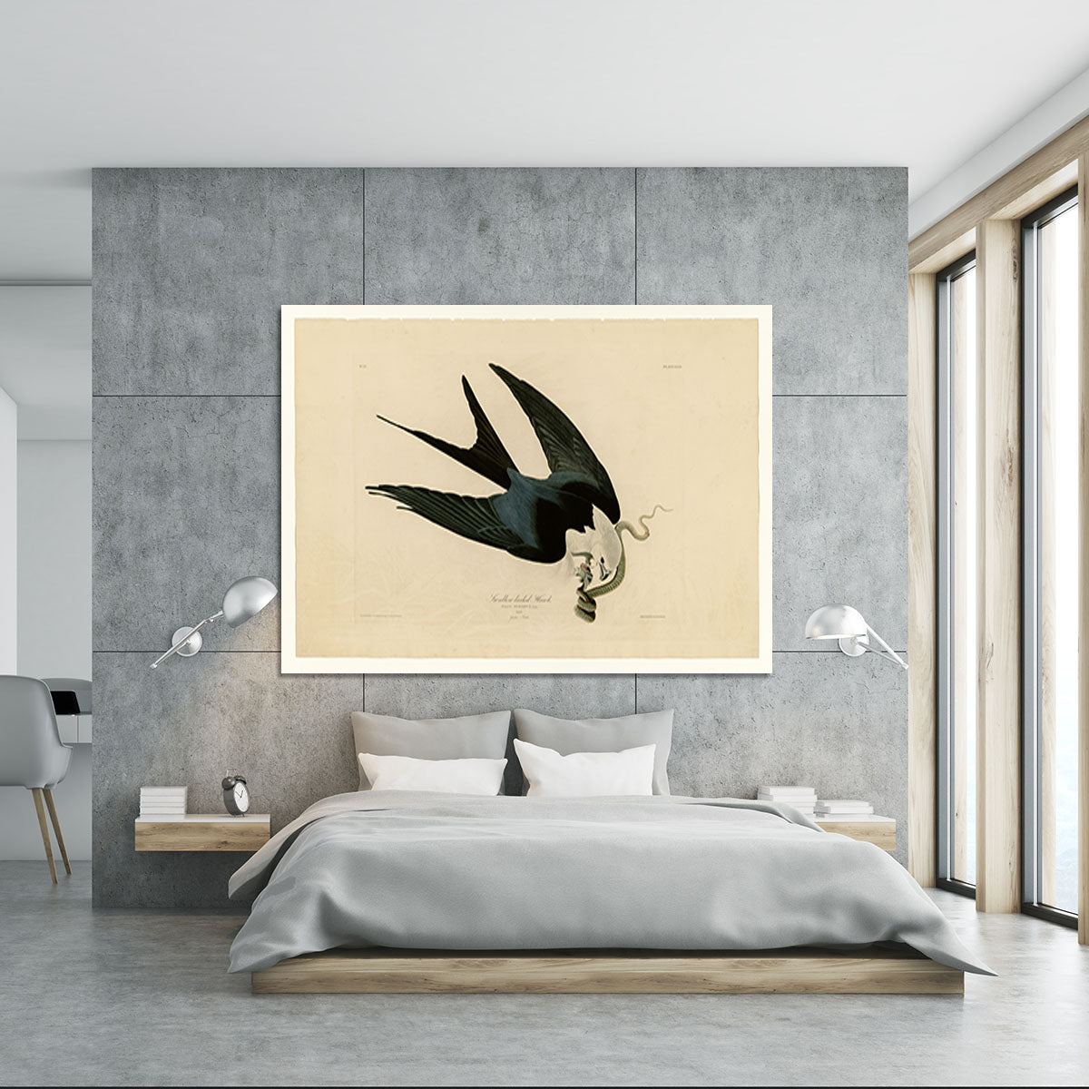 Swallow tailed Hawk by Audubon Canvas Print or Poster - Canvas Art Rocks - 5