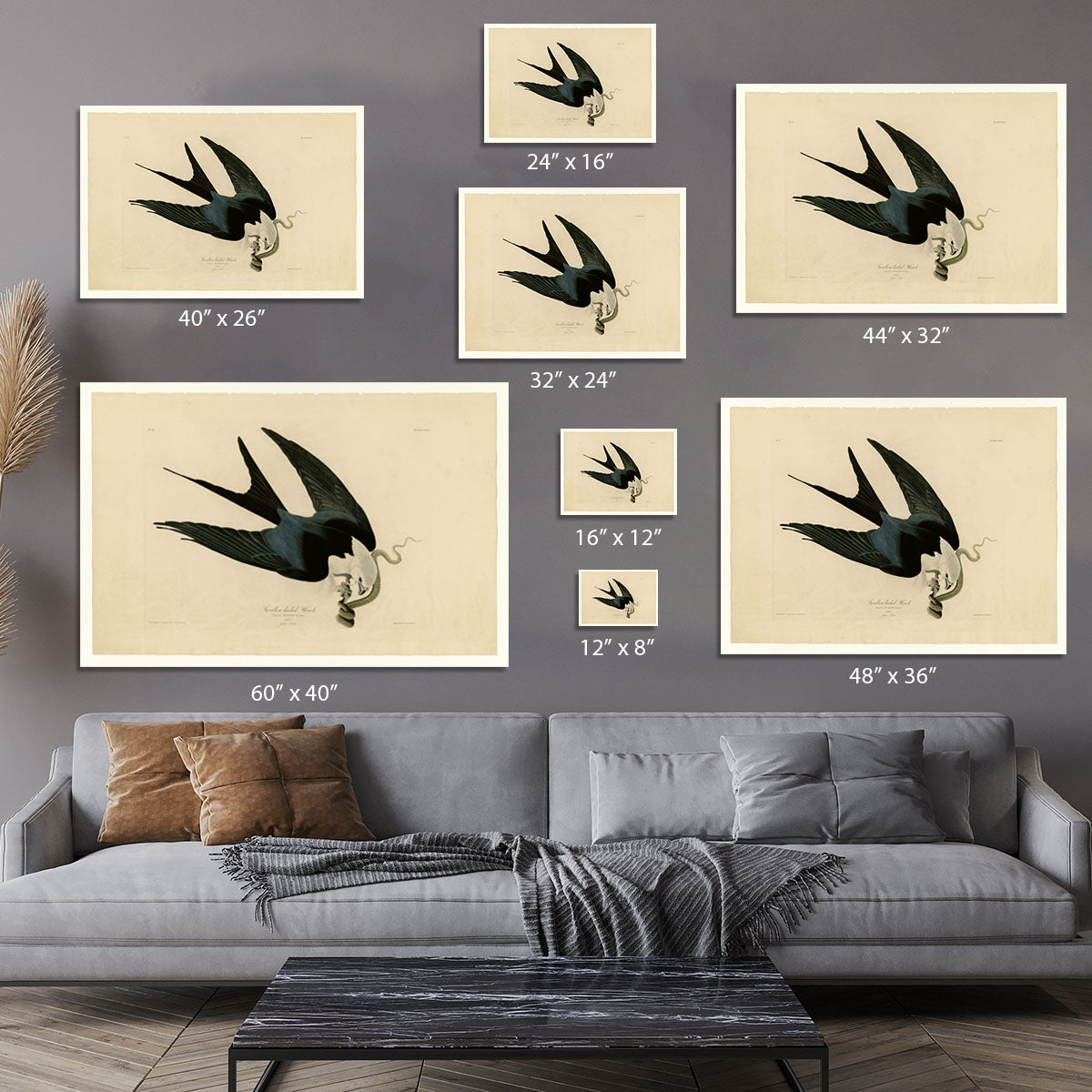 Swallow tailed Hawk by Audubon Canvas Print or Poster - Canvas Art Rocks - 7